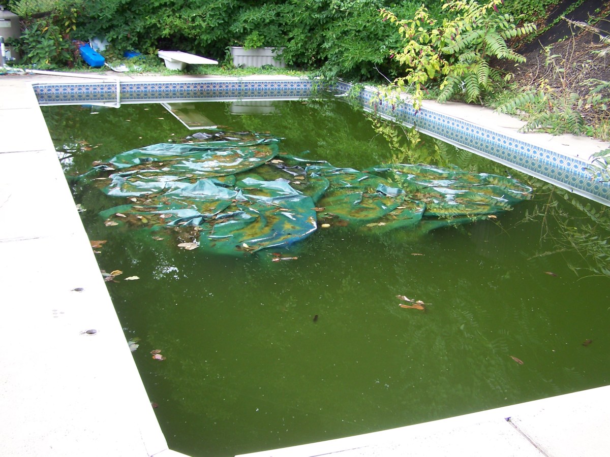 Finding Our Fixer-Upper